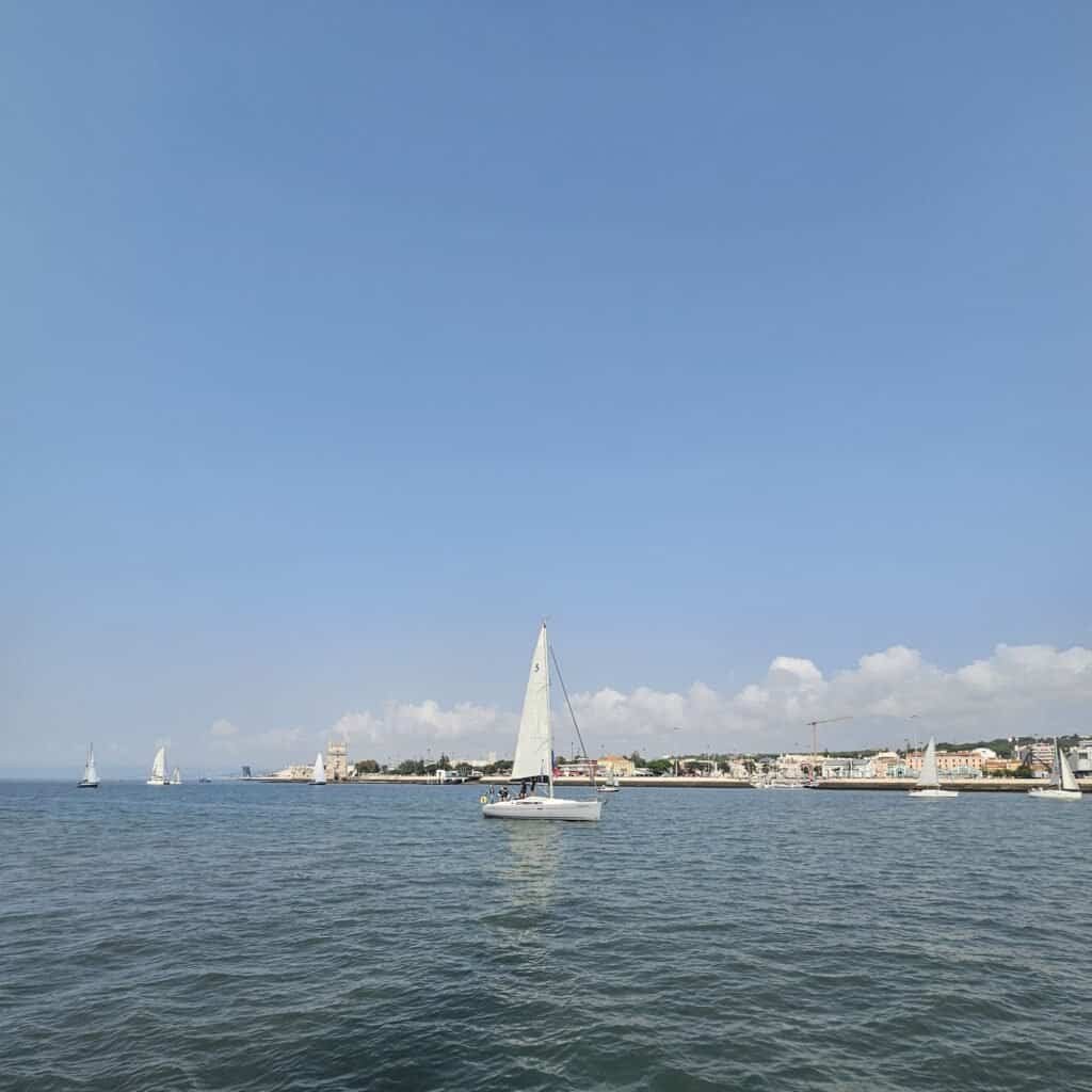 Conjunto veleiros durante a Regata